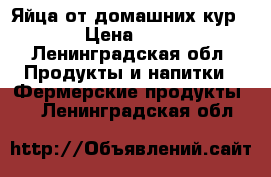 Яйца от домашних кур. › Цена ­ 90 - Ленинградская обл. Продукты и напитки » Фермерские продукты   . Ленинградская обл.